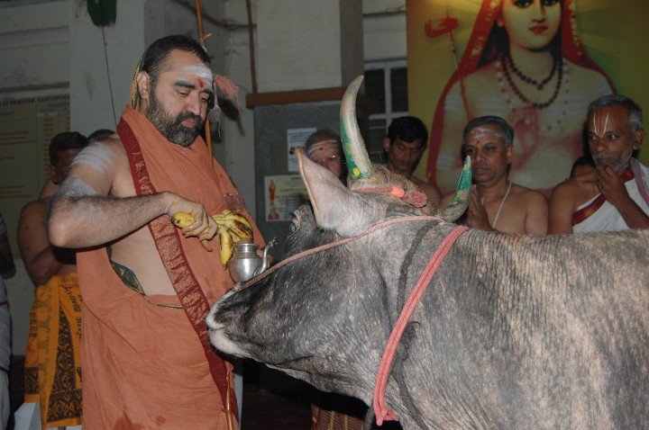 HH Vijayendra Saraswathi Shankaracharya Swamiji